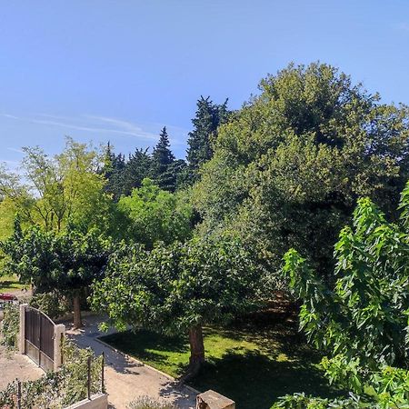 Mas provençal au cœur des vergers Vallabrègues Exterior foto