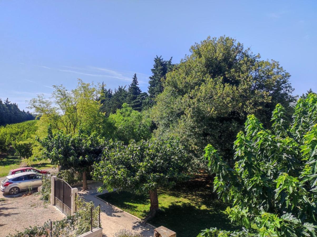 Mas provençal au cœur des vergers Vallabrègues Exterior foto