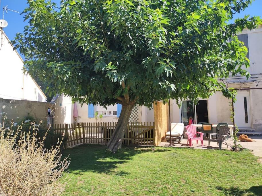 Mas provençal au cœur des vergers Vallabrègues Exterior foto
